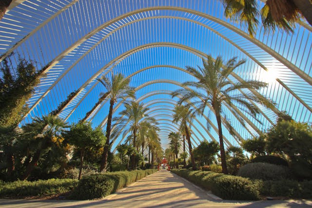 La Ciudad de las Artes y las Ciencias Valencia es uno de los complejos arquitectónicos y culturales más impresionantes de España.