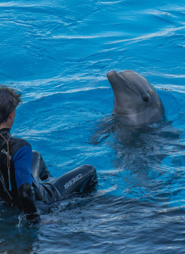 L’Oceanogràfic in Valencia Aquarium